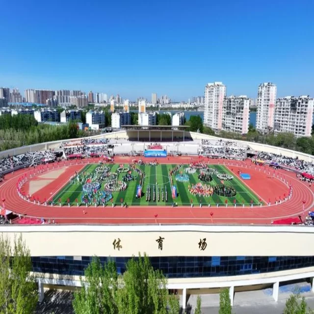 足球杯赛焦点对决：阵容视角解析第278组